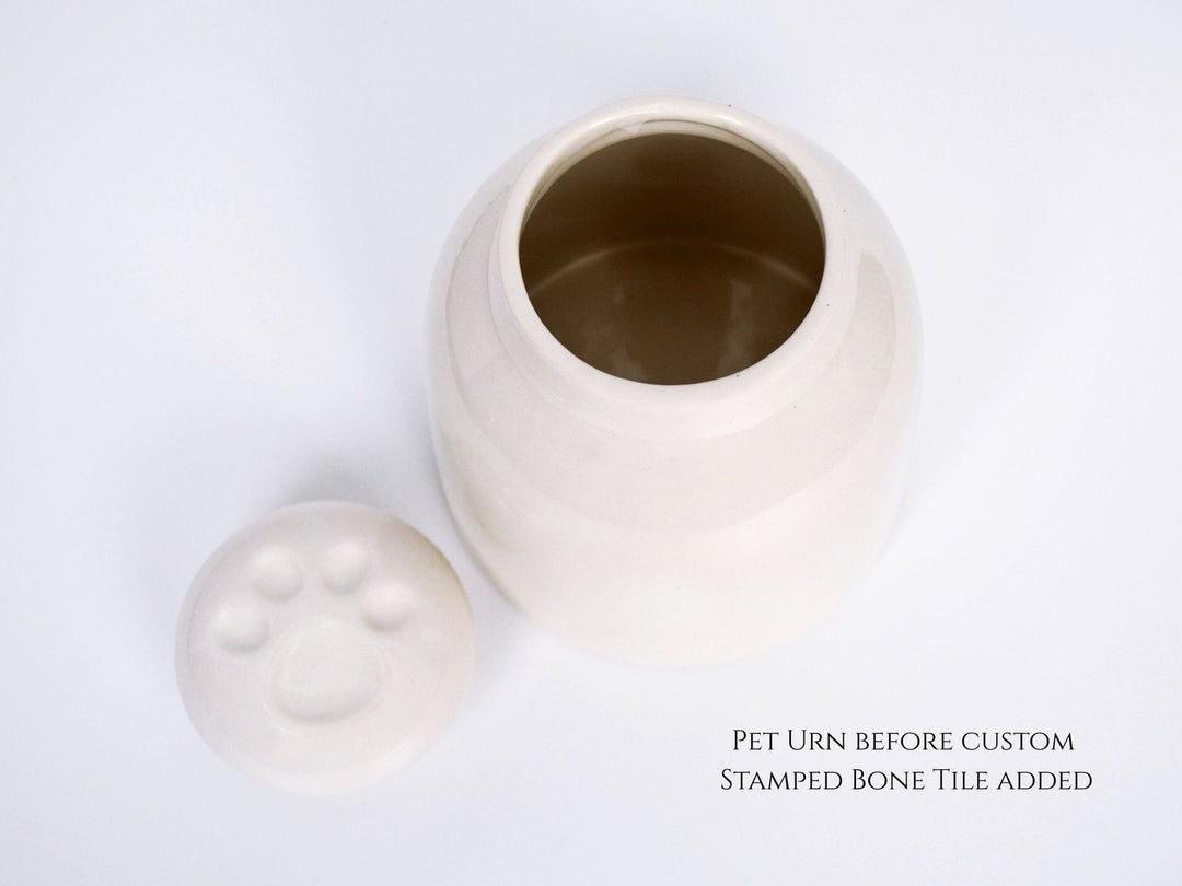 pet urn top view  blank