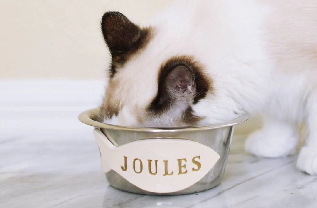 Personalized Set of Cat Bowls - Stainless Steel - 5 3/8" dia.