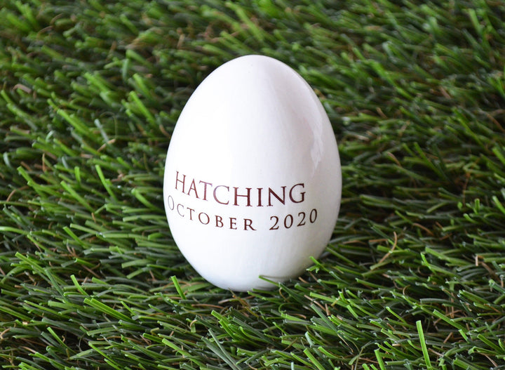 Pregnancy Egg Announcement, Pregnancy Announcement for Grandparents, Personalized Ceramic Easter Egg, Unique Easter Gift Idea