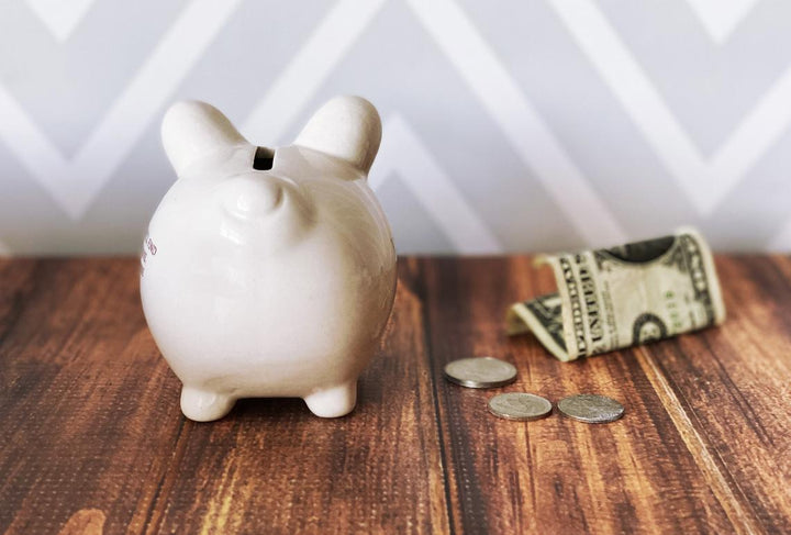 Tooth Fairy Piggy Bank, Tooth Fairy Container, Tooth Fairy Pillow, Tooth Fairy Gift, Small Piggy Bank - Personalized