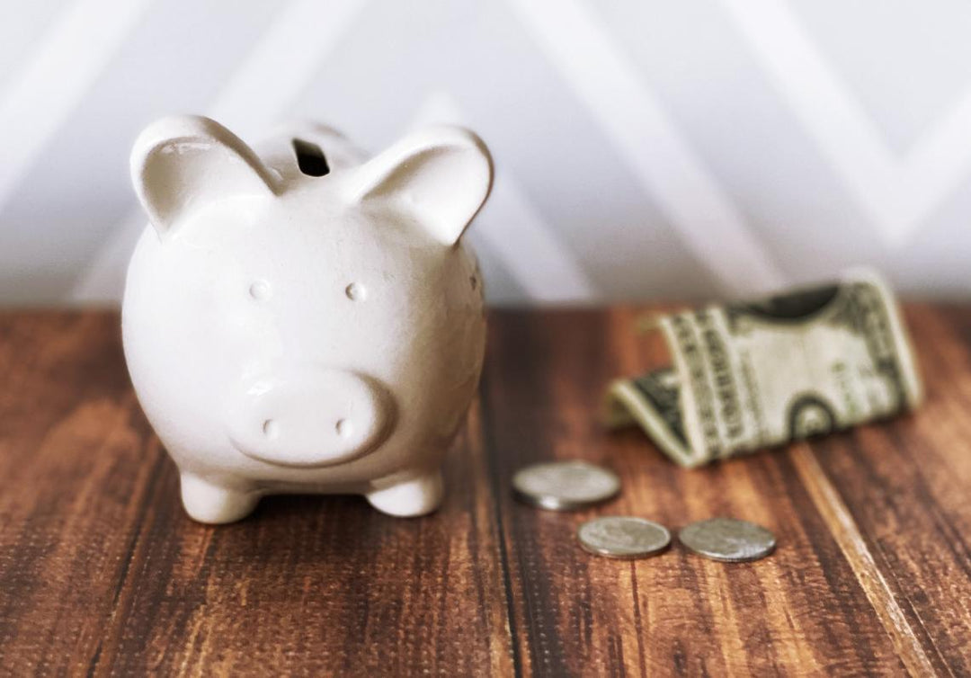 Tooth Fairy Piggy Bank, Tooth Fairy Container, Tooth Fairy Pillow, Tooth Fairy Gift, Small Piggy Bank - Personalized