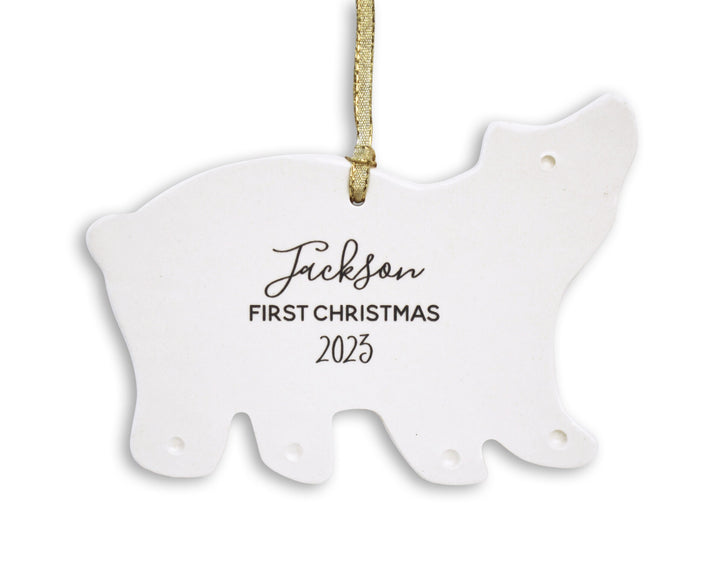 Polar Bear Ornament, Personalized Baby's First Christmas Ornament 2025