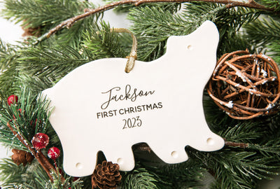 Polar Bear Ornament, Personalized Baby's First Christmas Ornament 2024