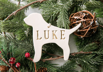 Customized Dog Christmas Ornament with Name in Different Colors