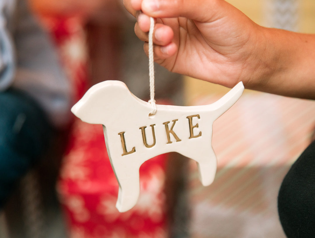 Customized Dog Christmas Ornament with Name in Different Colors