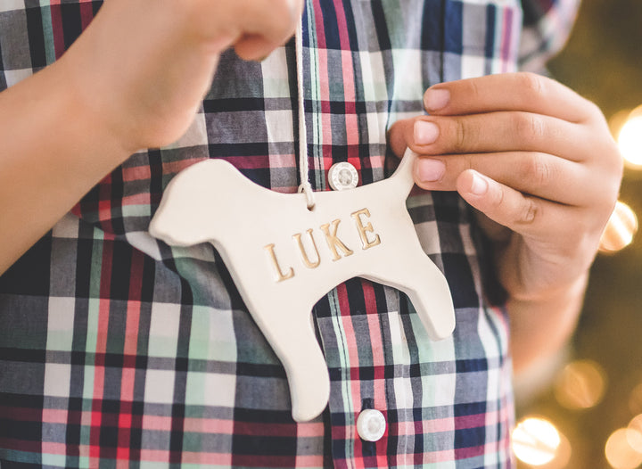 Customized Dog Christmas Ornament with Name in Different Colors