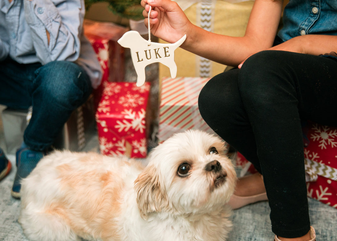 Customized Dog Christmas Ornament with Name in Different Colors