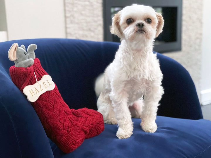 Personalized IVORY Dog Christmas Stocking, Dog Christmas Gift, Knitted Holiday Stocking, Customized w/ Name, Available in Different Colors