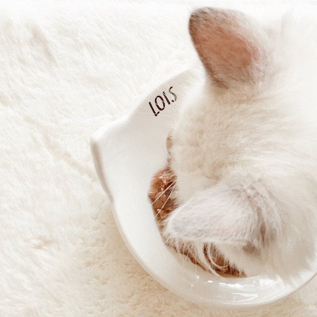 Personalized Cat Bowl, Fish Shaped Cat Dish, Cat Gift, Kitten Bowl, Kitten Gift, Personalized Cat Food Dish