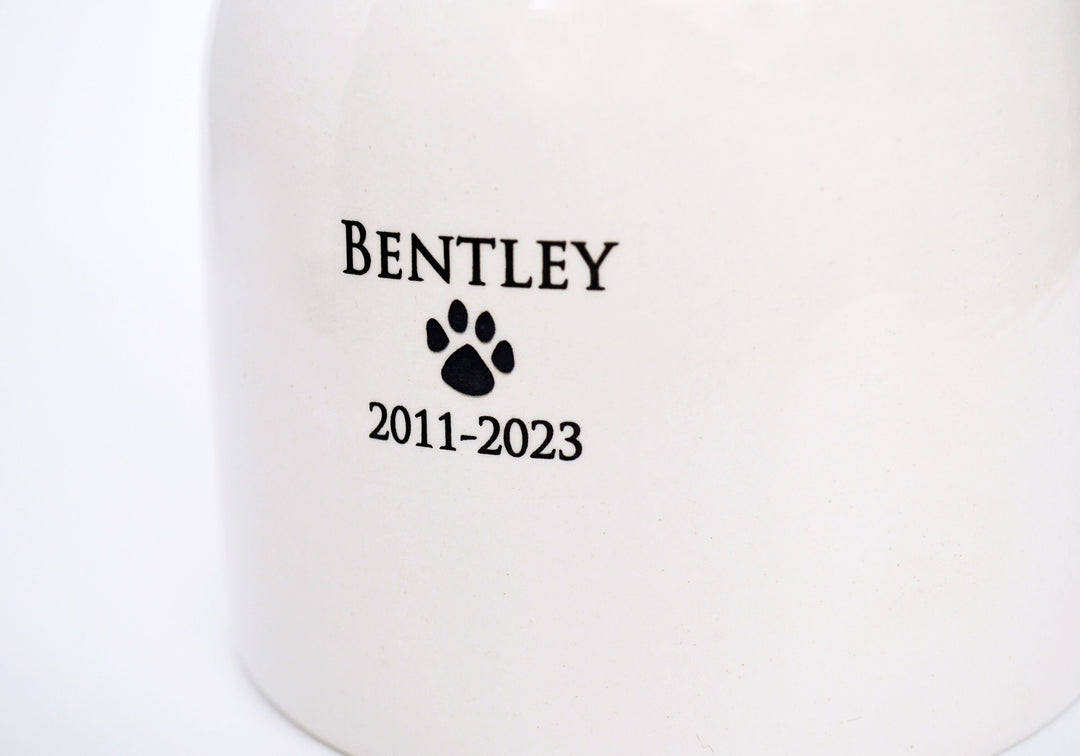 Personalized Pet Urn, for Dog or Cat  - Medium Size