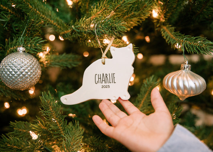 Cat Christmas Ornament - Custom Ornament with Name